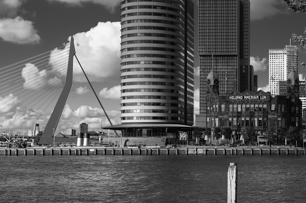 Rotterdam-2.jpg