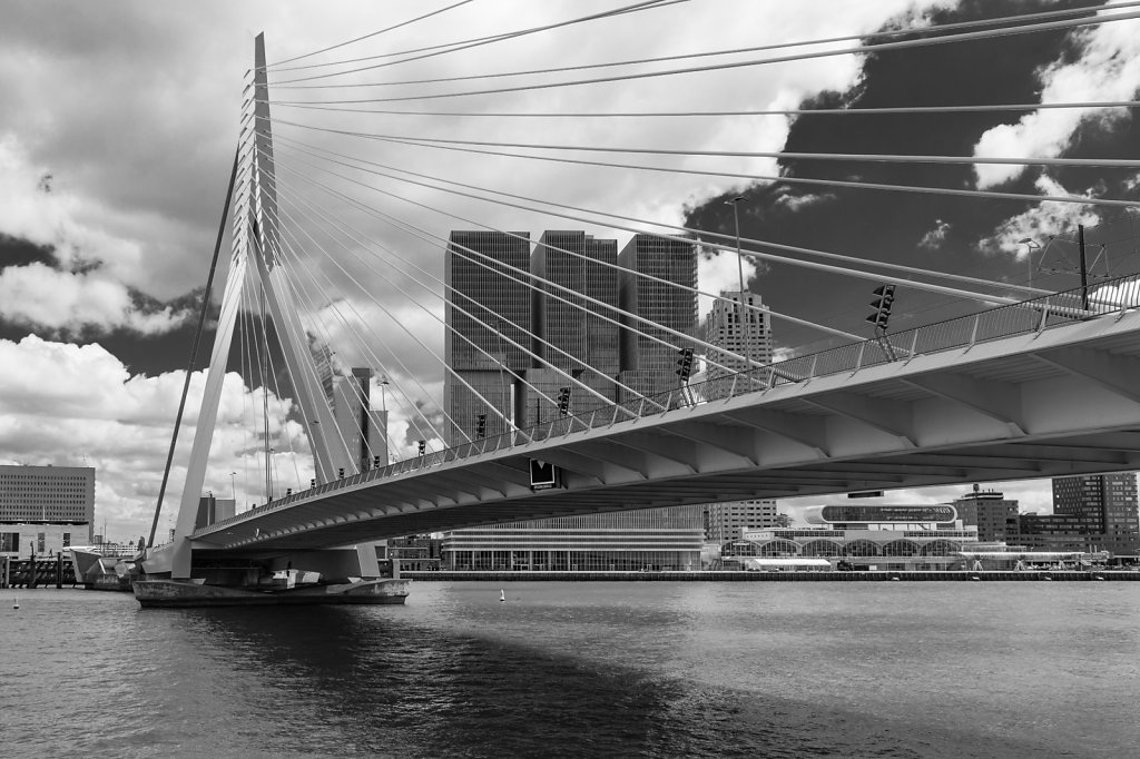 Rotterdam-5.jpg